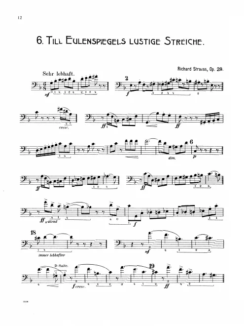 Basses