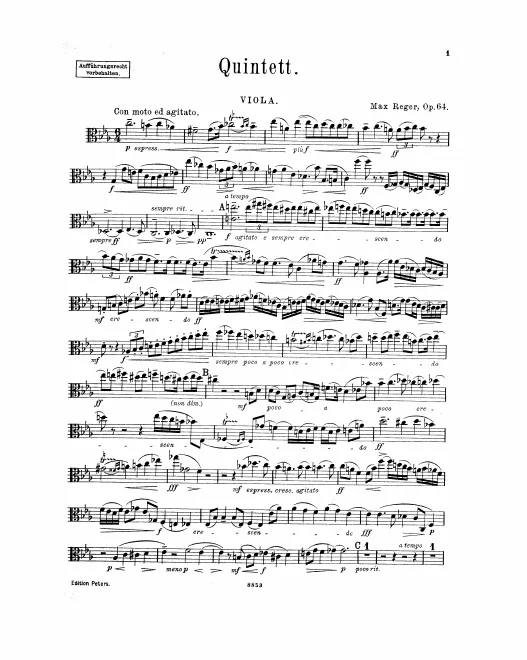 Viola