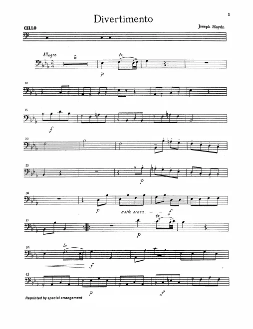 Cello/Double Bass
