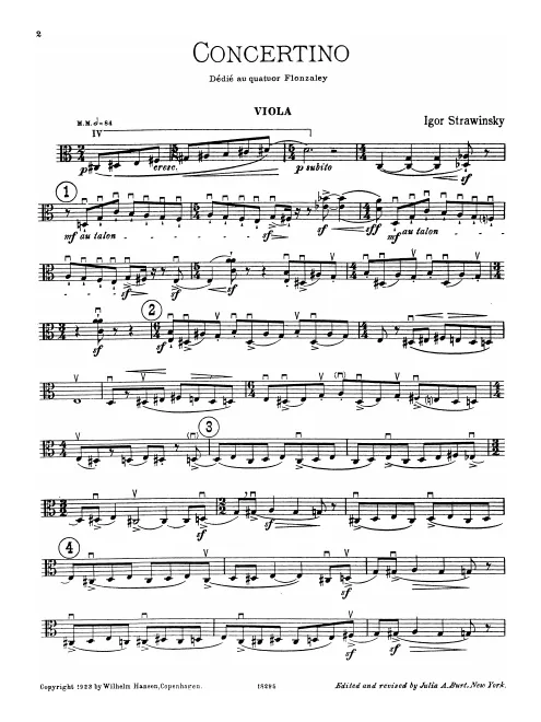 Viola