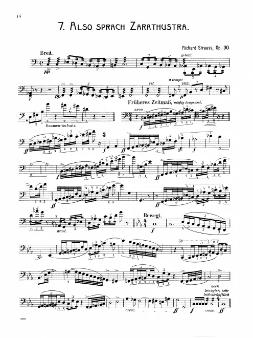 Basses