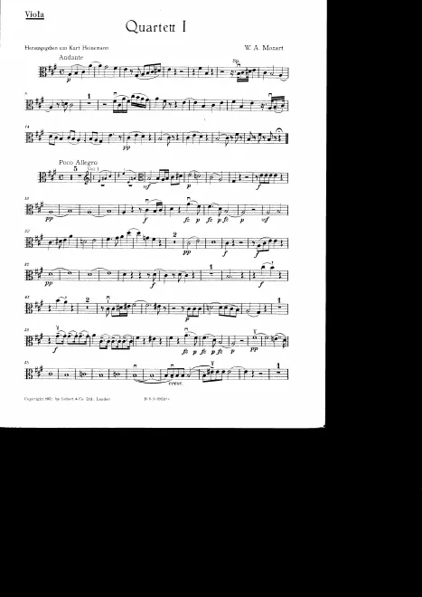Viola