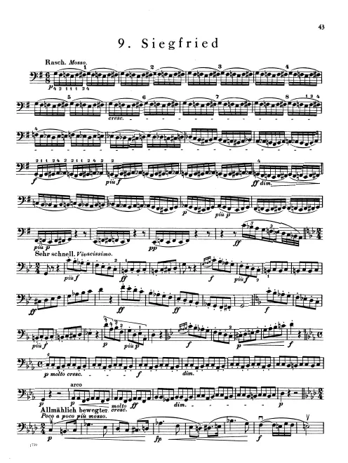Basses