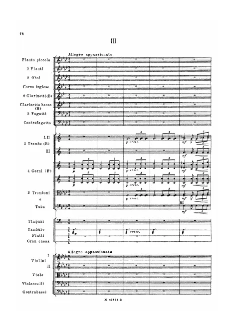 3. Allegro appassionato