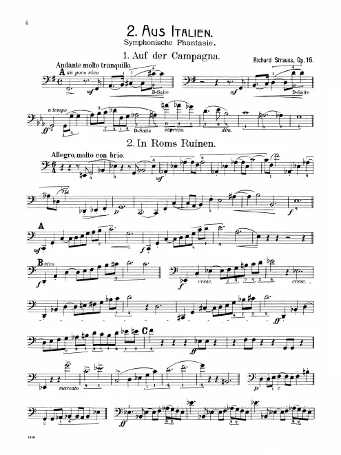 Basses