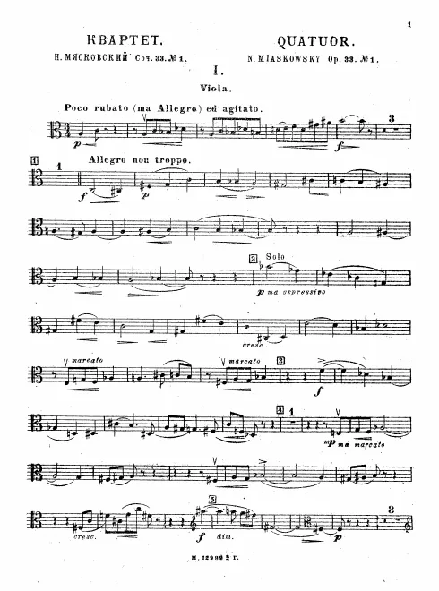 Viola