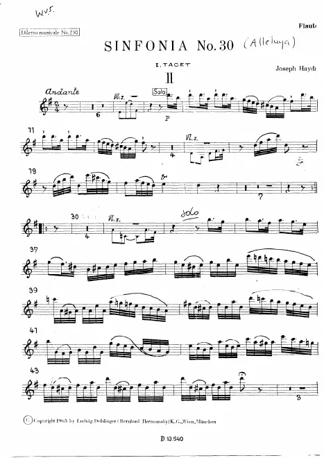 Flute