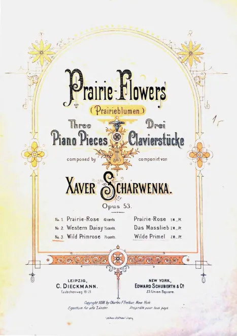 3. Wilde Primel