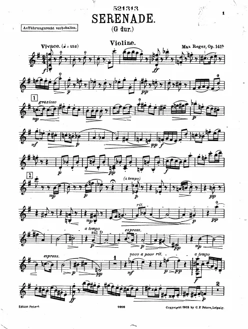 Violin