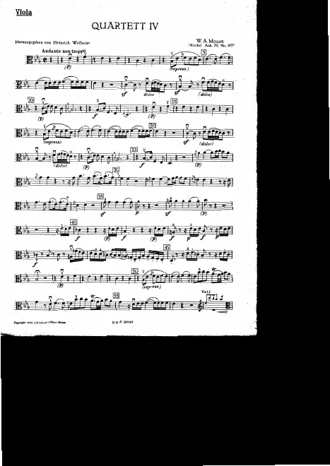 Viola