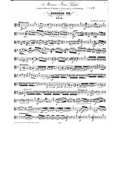 Viola