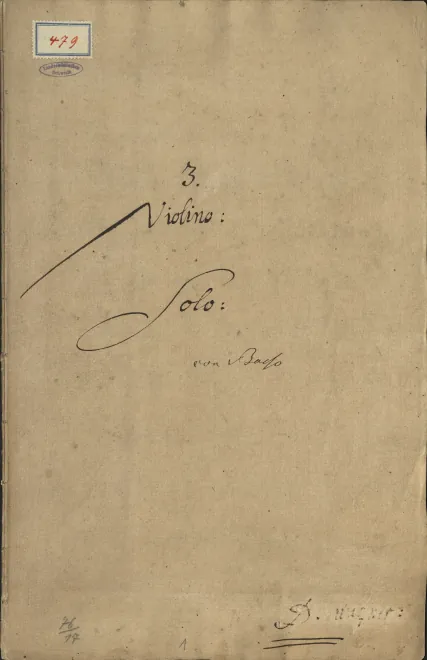 Violin
