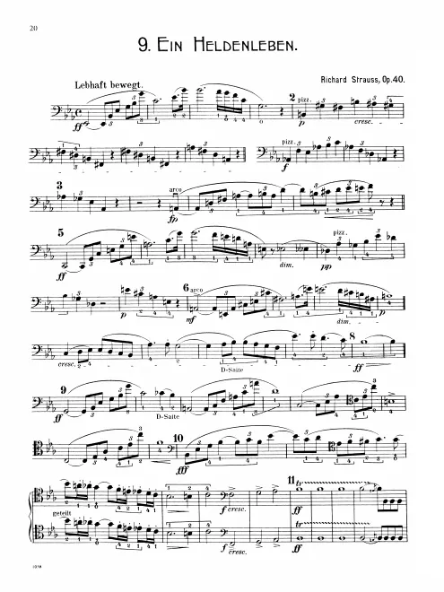 Basses