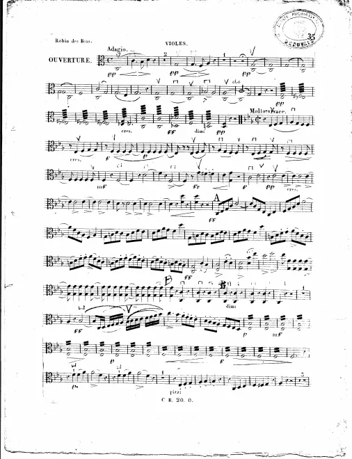 Violas