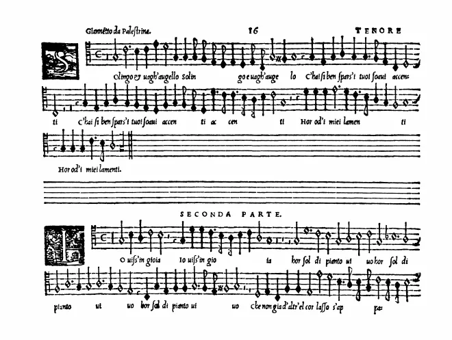 Tenor
