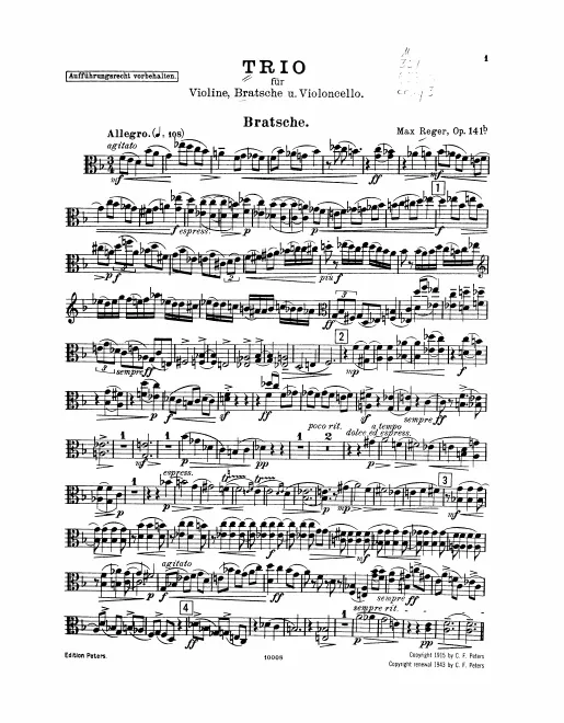 Viola