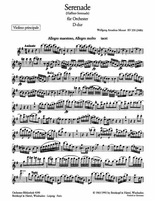 Violin Solo