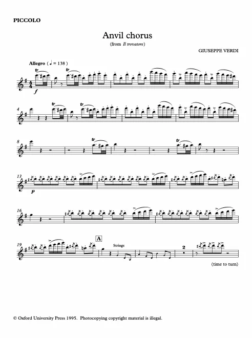 Flute, Piccolo