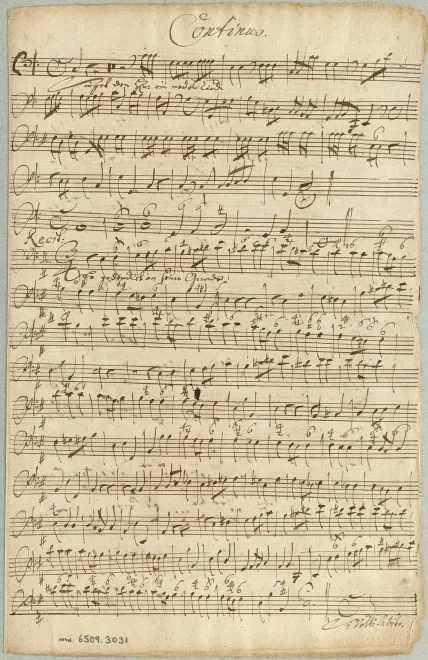 Continuo, Organ, Chalcedon
