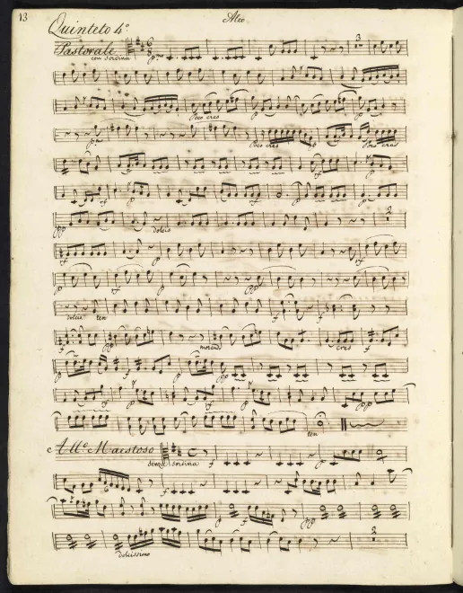 Viola