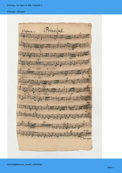 Trumpet 3/Principal