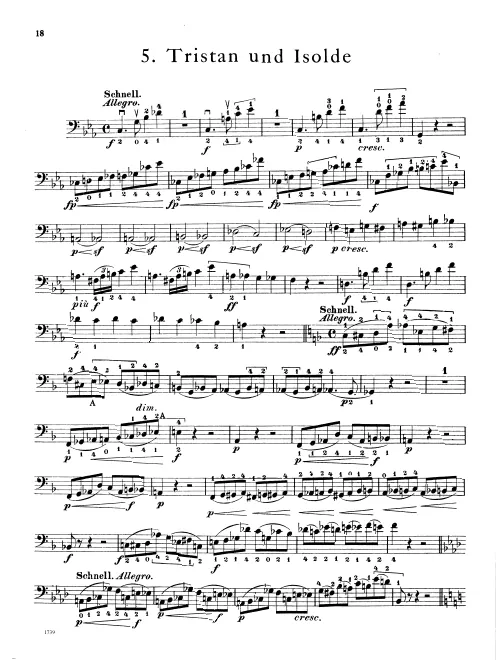 Basses