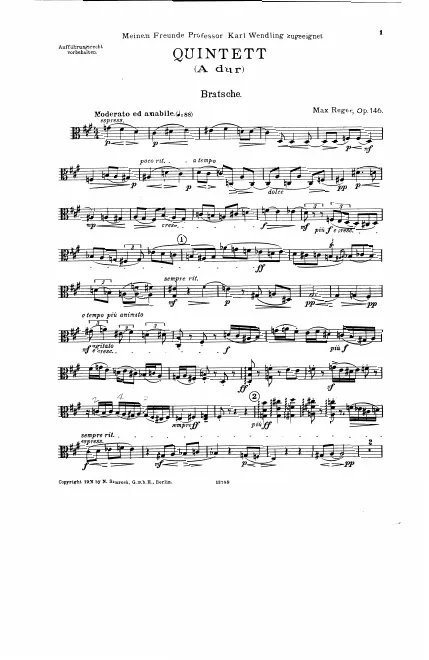 Viola