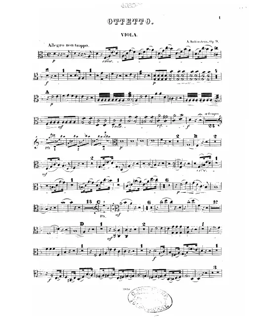 Viola
