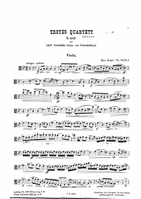 Viola