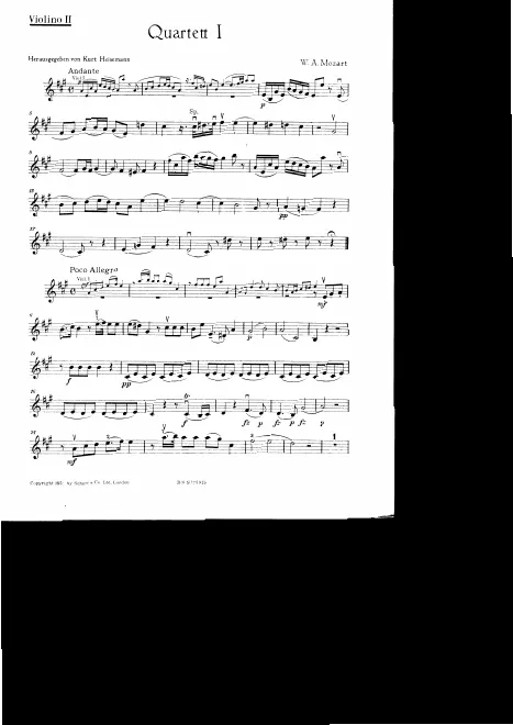 Violin 2