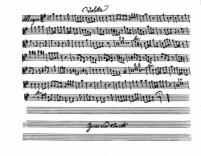 Violas