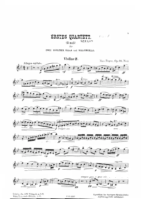 Violin 2