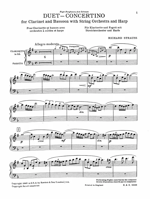 Clarinet (B)/Bassoon solo