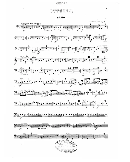 Double Bass