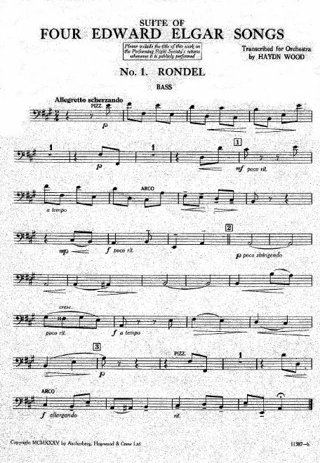 Double Basses