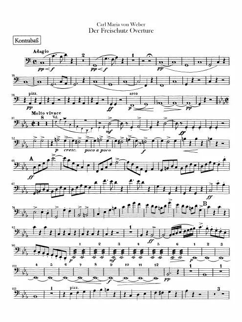 Basses