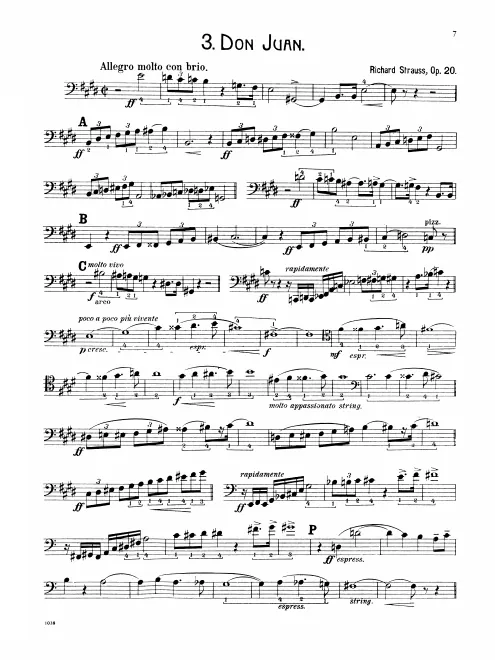 Basses