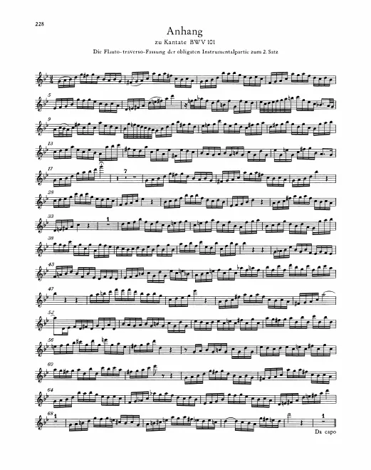 Anhang: Flute (alternate to Violin solo)