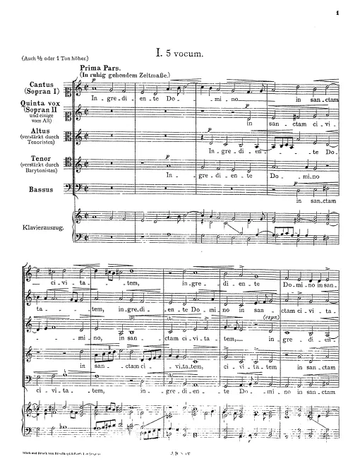 First page of Ingrediente Domino
