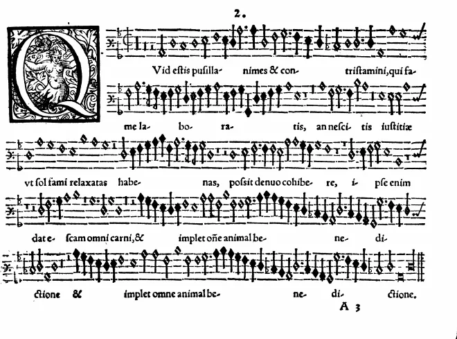 Bassus