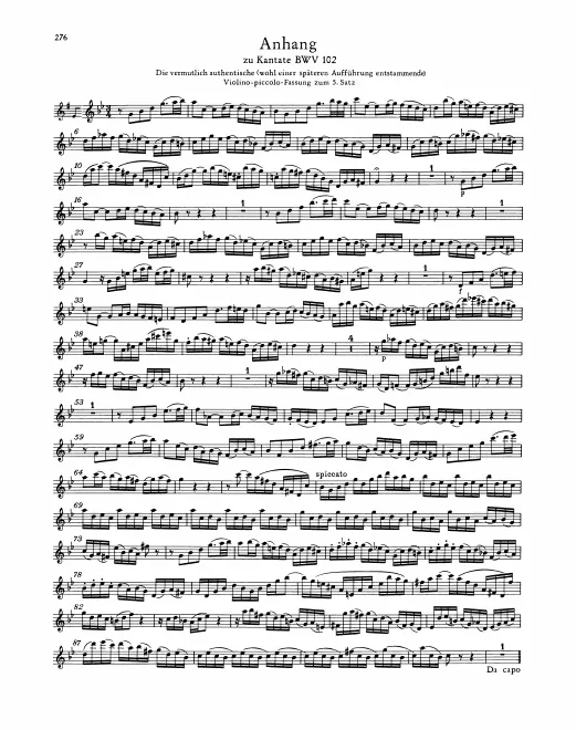 Anhang: Violin Piccolo (alternate to Flute)