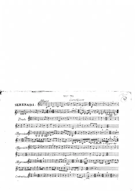 Horn 2 (D)