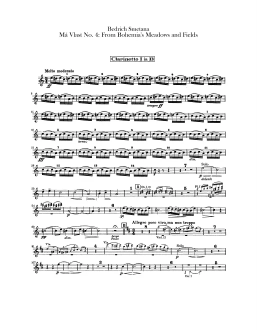 First page of From Bohemian Fields and Groves (From Bohemia's Woods and Fields)