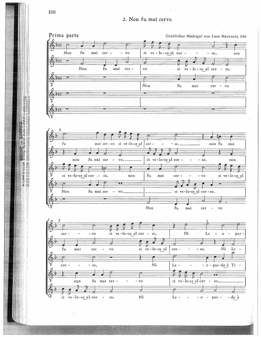 First page of Non fu mai cervo