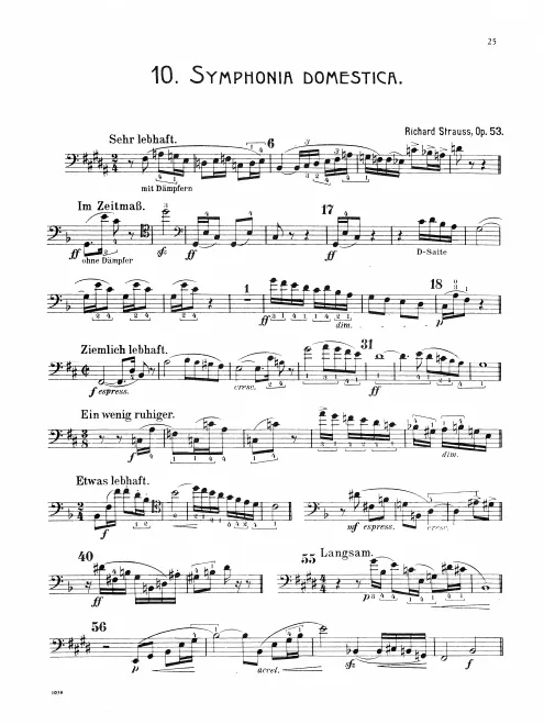 First page of Sinfonia domestica