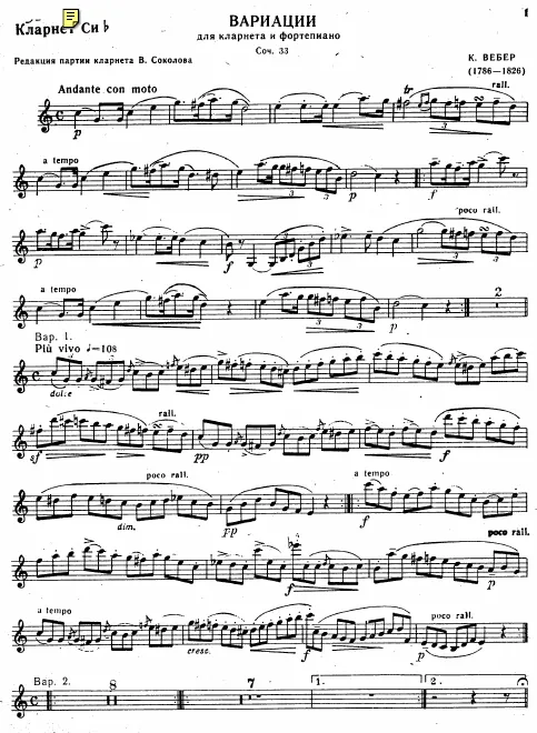 First page of Variationen über ein Thema aus Silvana
