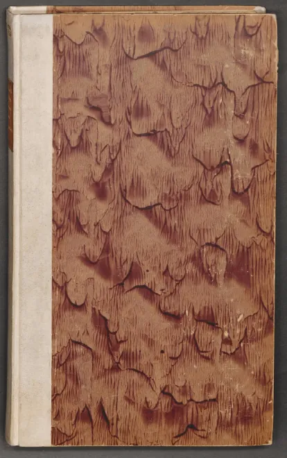 First page of Passio Domini nostri Iesu Christi secundum Matthaeum