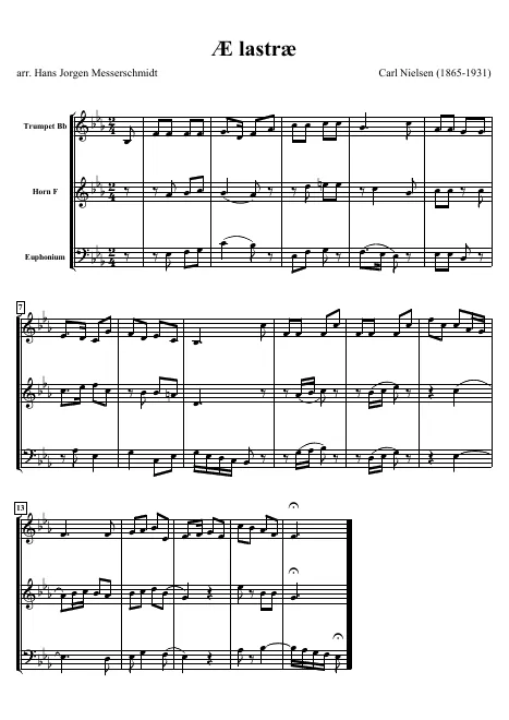 First page of Æ lastræ
