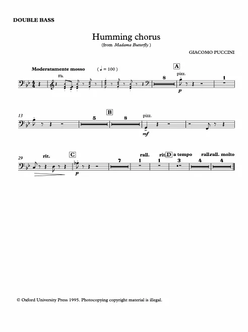 Basses