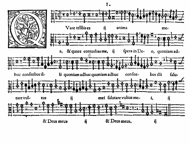 Tenor